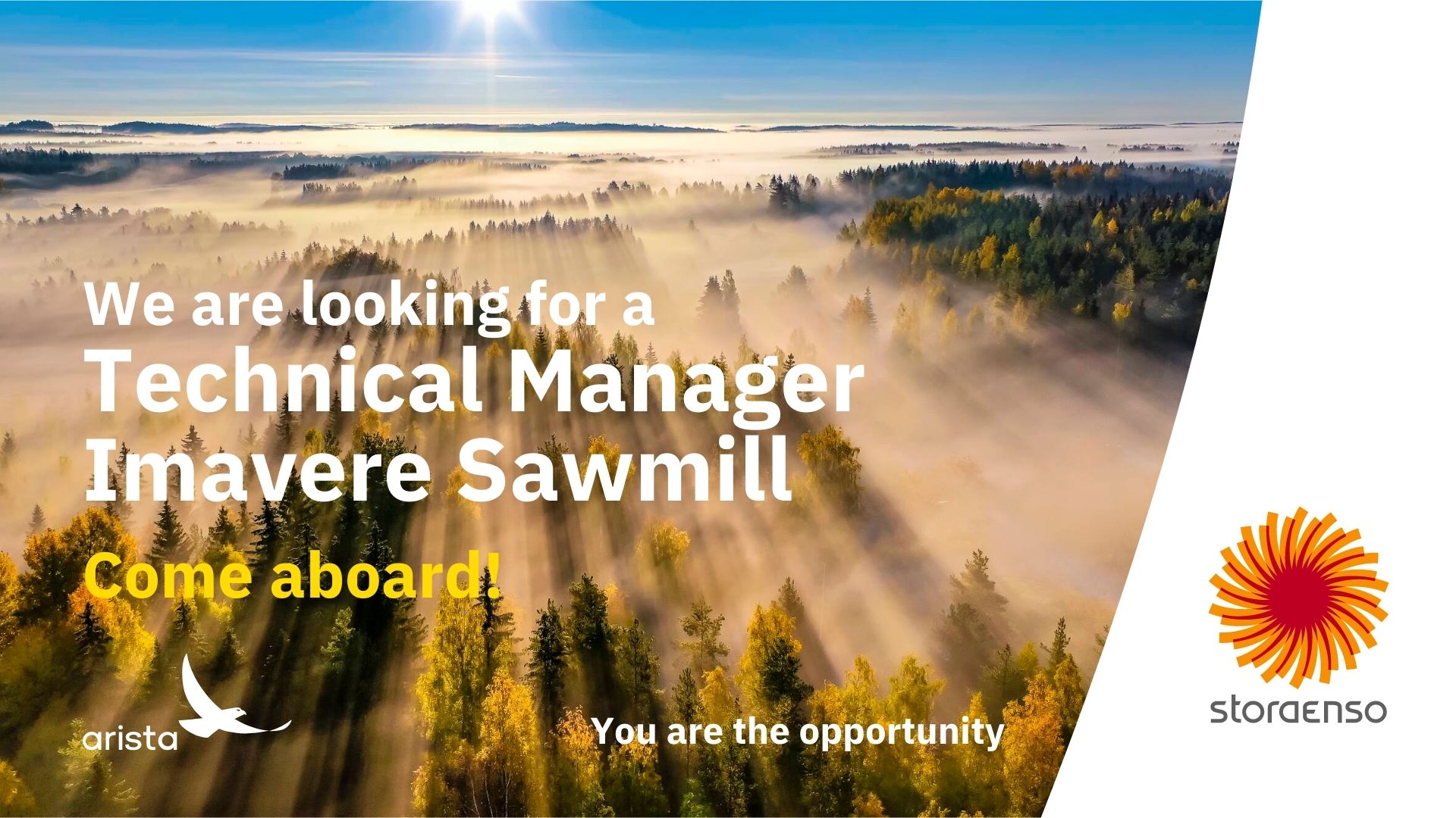 Technical Manager Imavere Sawmill